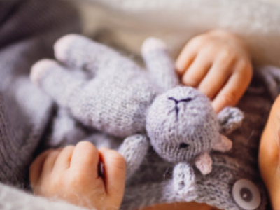 Lorem ipsum dolor sit amet consectetur